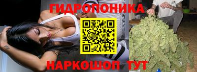 дживик Обь