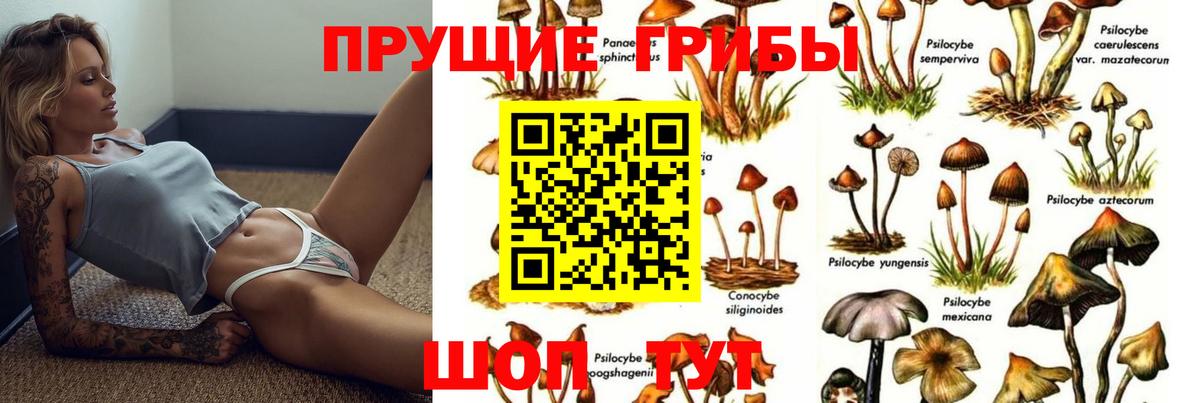 Псилоцибиновые грибы прущие грибы Туапсе